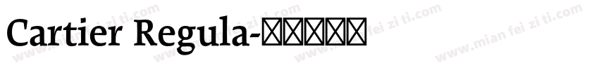Cartier Regula字体转换